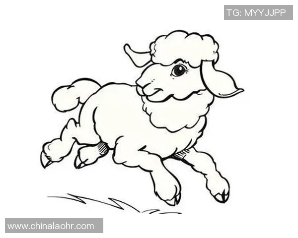 如何轻松绘制足球明星的生动肖像技巧与步骤分享