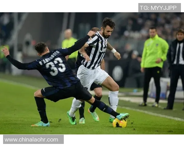 意甲足球明星卡片全景展示与收藏指南